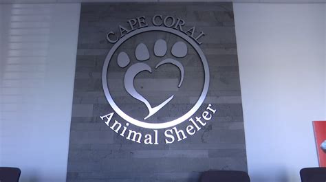 Want to know more about working here? WINK News tours Cape Coral Animal Shelter ahead of grand ...