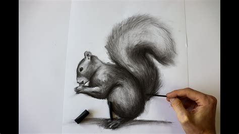 How To Draw Animals With Charcoal Easy Charcoal Drawing Step By