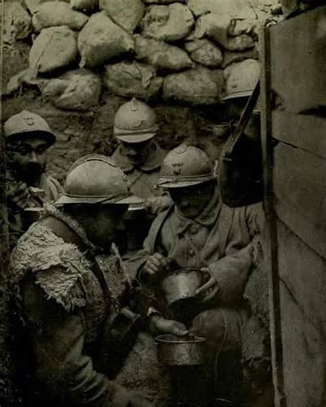 Trench Fever And Lice In World War I Owlcation