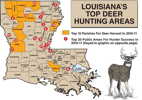 Louisiana Deer Hunting Area Map