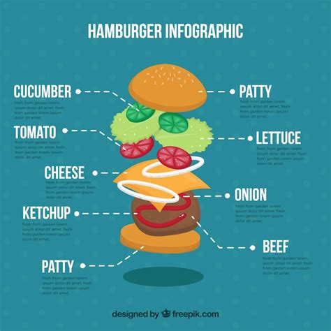 Hamburger And Ingredients Infographic Free Vector