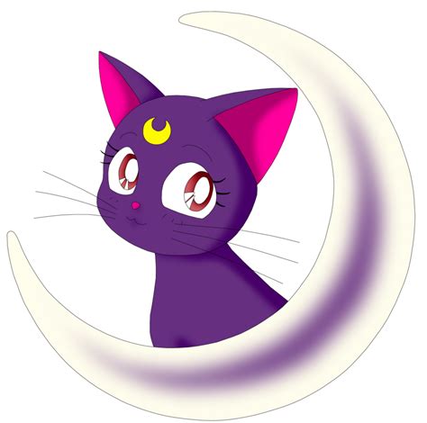 Animated Sailor Moon S Cat Png Clipart Pinclipart The Best Porn Website