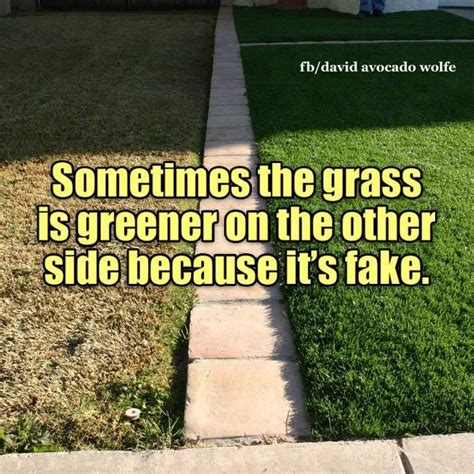 Sometimes Grass Is Greener On The Other Side Because Its Fake Pictures