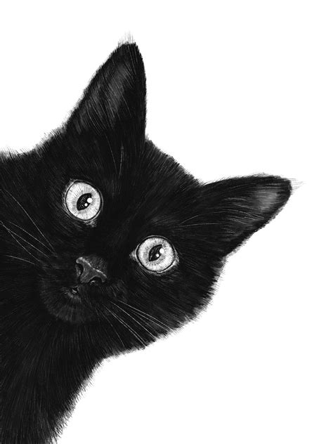 Black Cat Art Print By Valeriya Korenkova Fy