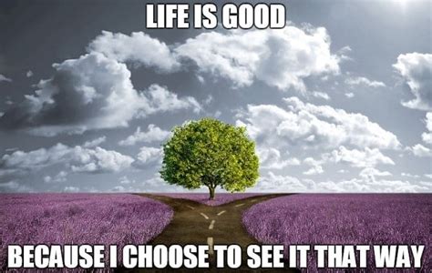 20 Life Is Good Memes To Cheer Your Mood Sheideas