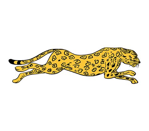 Here are some easy steps that can help your kids to learn to draw a one easily. How to Draw a Cheetah in a Few Easy Steps | Easy Drawing Guides