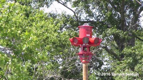 Sentry 7v8 B Initial Siren Test Omaha Ga 42616 Youtube