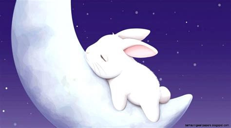Anime Bunnies Wallpapers Wallpaper Cave