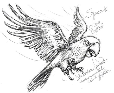 Parrot Sketch Drawing At Explore Collection Of