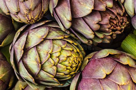 Green Artichokes At The Farmers Market Stock Photo Image Of Groceries