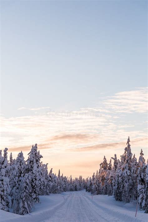 Winter Wonderland Lapland Scene Sunset Stock Photo Image Of Finland