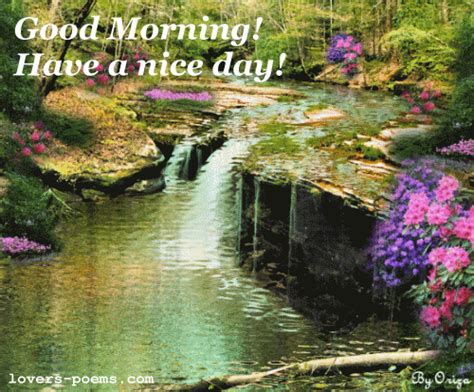 Good Morning Have A Nice Day Pictures Photos And Images For