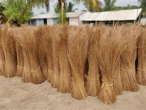 Broom Raw Material At Best Price In India