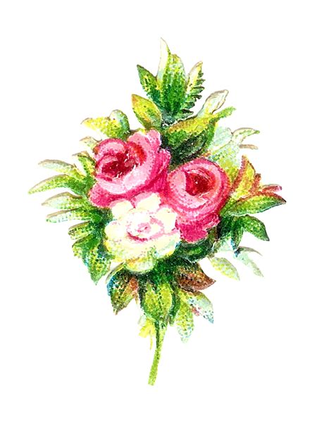 Antique Images Rose Bouquet Digital Botanical Download Flowers And