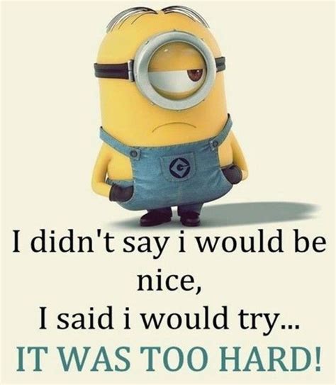 Best Very Funny Minions Quotes Of The Week Dreams Quote