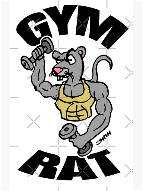 Gym Rat Poster By Sketchnkustom Redbubble