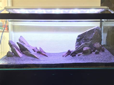 If you'd like to set up a stunning aquascape, you'll want to follow these tips to do it right. Stamford K9 & Equine on Twitter | Aquascape, Aquarium ...