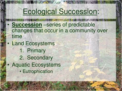 Ppt Ecological Succession Powerpoint Presentation Free Download