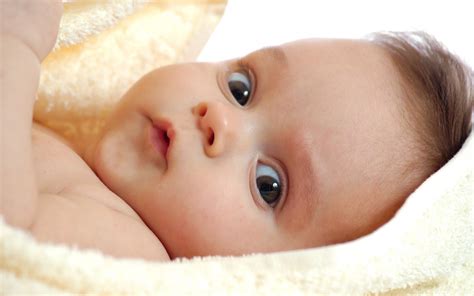LOVE QUOTES: cute babies photos wallpaper