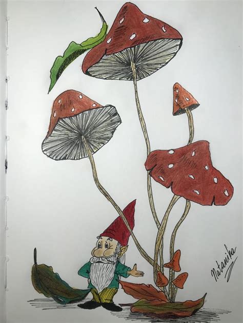 Mushrooms Gnome Painting Drawings Art