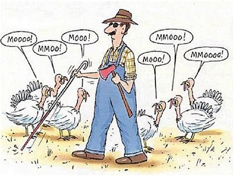 funny turkey cartoons