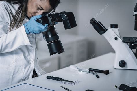 Forensics Expert Examining Crime Scene Evidence Stock Image F024 4951 Science Photo Library