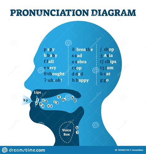 Phonetics And Pronunciation : IMPORTANCE OF USING PROPER PRONUNCIATION ...