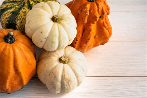 Pile Of Small Pumpkins On A Table Stock Image Image Of Fall Pumpkins