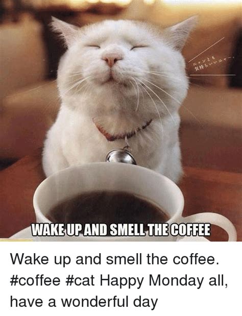 Wakeupandsmellthecoffee Wake Up And Smell The Coffee