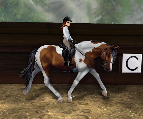 Dressage Lesson With Hilton Star Stable Online Amino