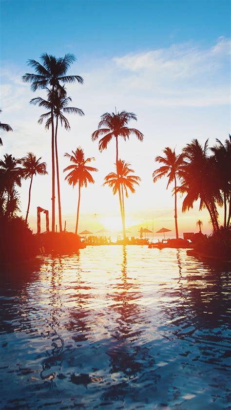 Palm Tree Sunset Iphone Wallpaper