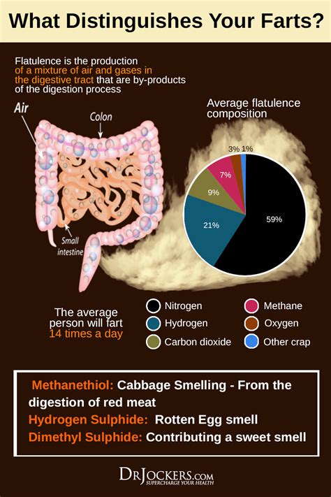 8 ways to reduce gas and farting for good reduce gas gas remedies healthy food choices