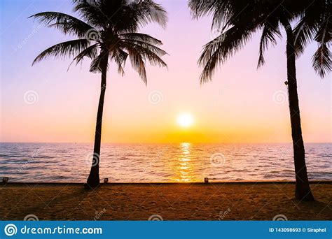 Beautiful Silhouette Coconut Palm Tree On Sky Neary Sea