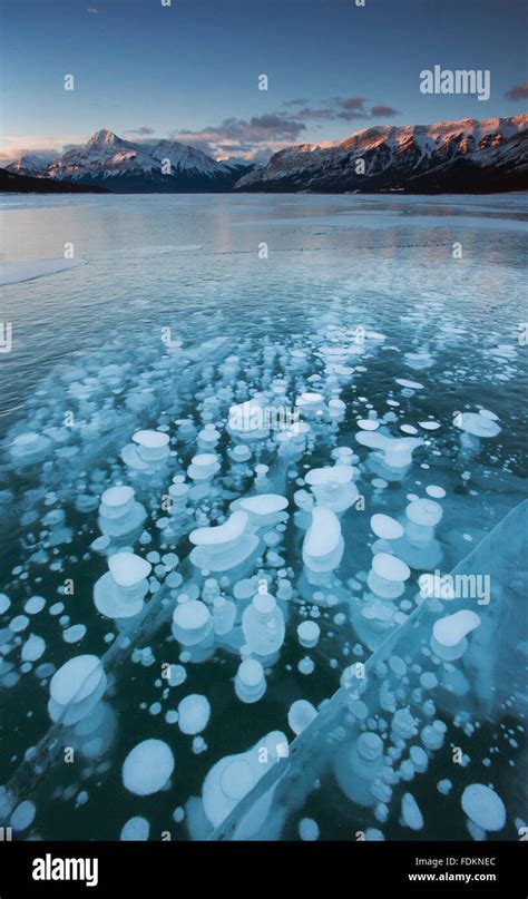 Frozen Bubbles Alberta Hi Res Stock Photography And Images Alamy