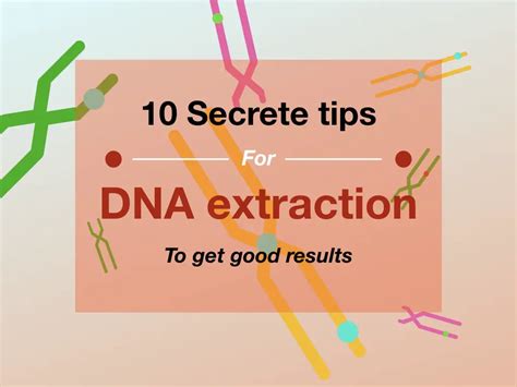Secret Tips For Dna Extraction To Get Good Results Genetic Education