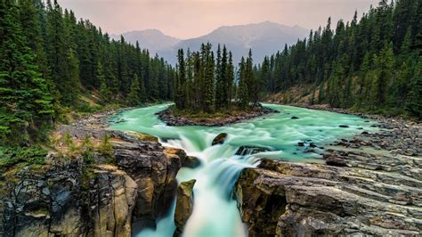 Download Mountain Forest Canada Jasper National Park River Nature