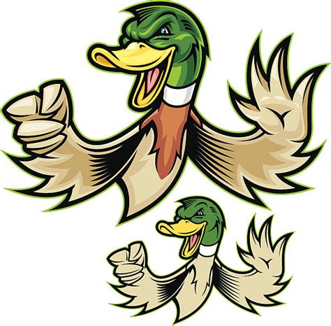 Angry Duck Cartoons Illustrations Royalty Free Vector Graphics And Clip