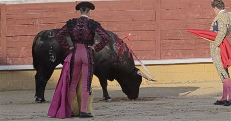 tauromaquia el documental que muestra lo que nadie quiere ver de las corridas de toros la