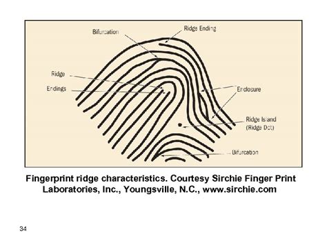 Fingerprints Fingerprints Introduction Most Widely