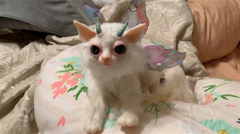 What A Cute Fairy Kitty Cat Youtube