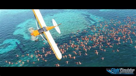 Microsoft Flight Simulator E3 2019 Announcement Trailer