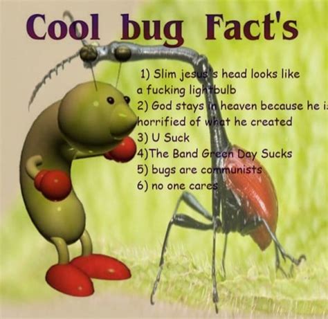 Cool Bug Facts Coolbugfacts