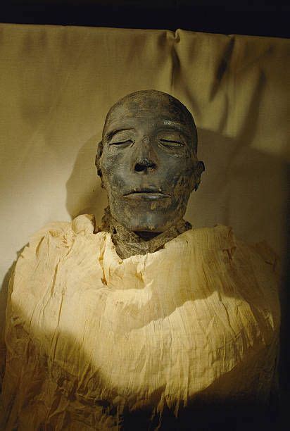 Mummy Of Merenptah In The Cairo Museum Historia Egipcia Egipto