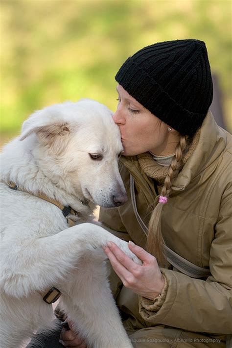 Heart Touching Photos Of Dogs With Humans Designbeep