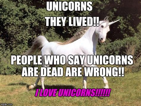 Unicorns Imgflip