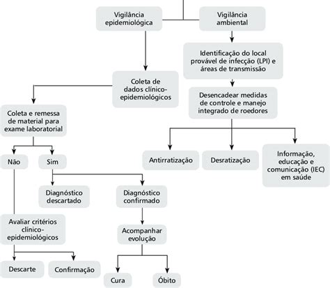 Roteiro De Investigação Da Leptospirose Investigação Do Caso Download