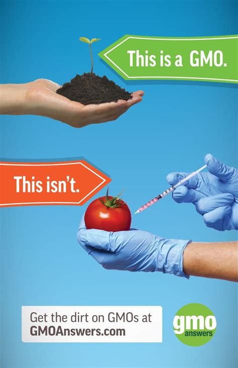 How Are Gmos Made Find Out Here Askhow Do You