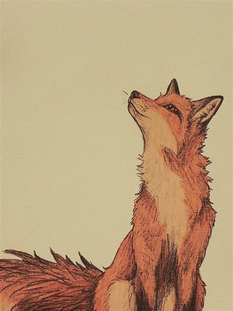 Fox Art Fox Art Fox Illustration Animal Art
