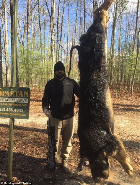 Nfls Mark Ingram Poses With Giant 600lb Tennessee Boar
