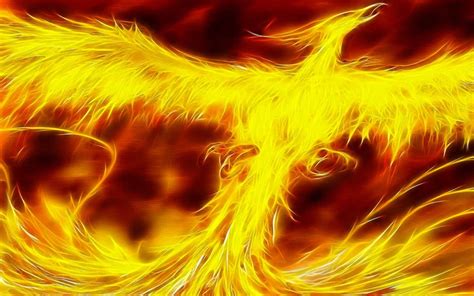 20 Phoenix Bird Real Images Background